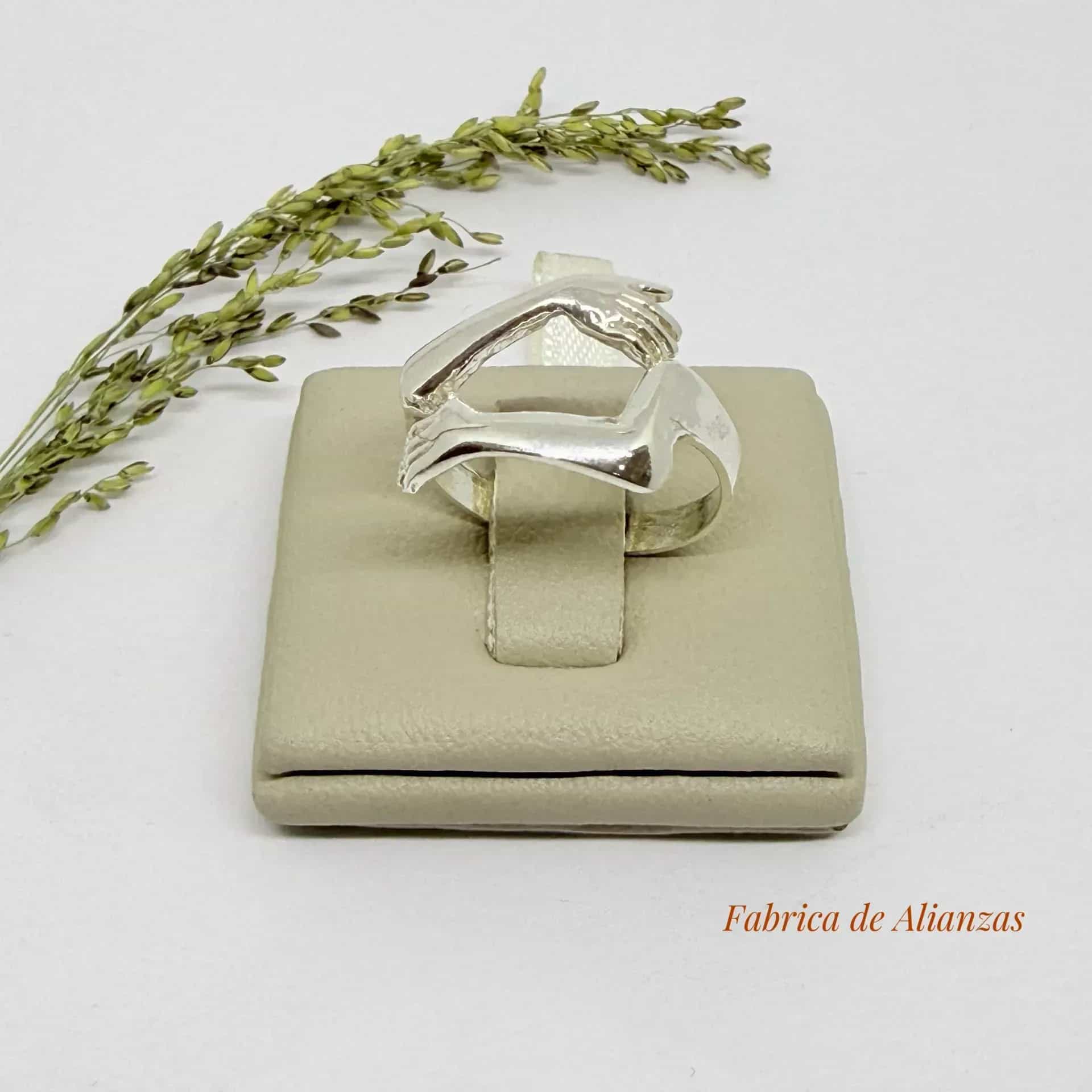 Anillo Abrazo
