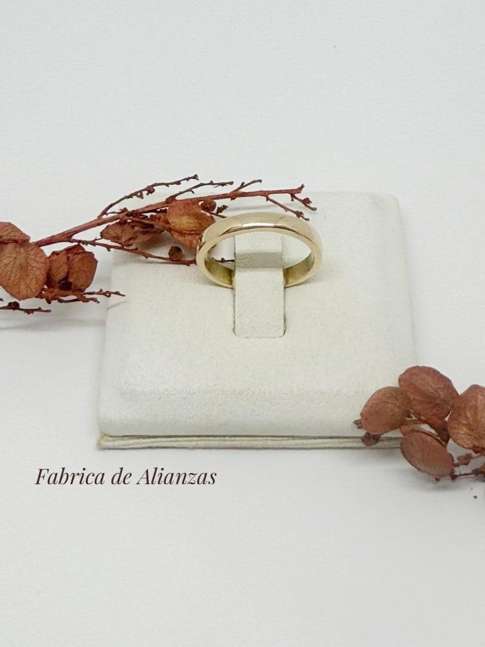 Alianza Italiana 6 Grs