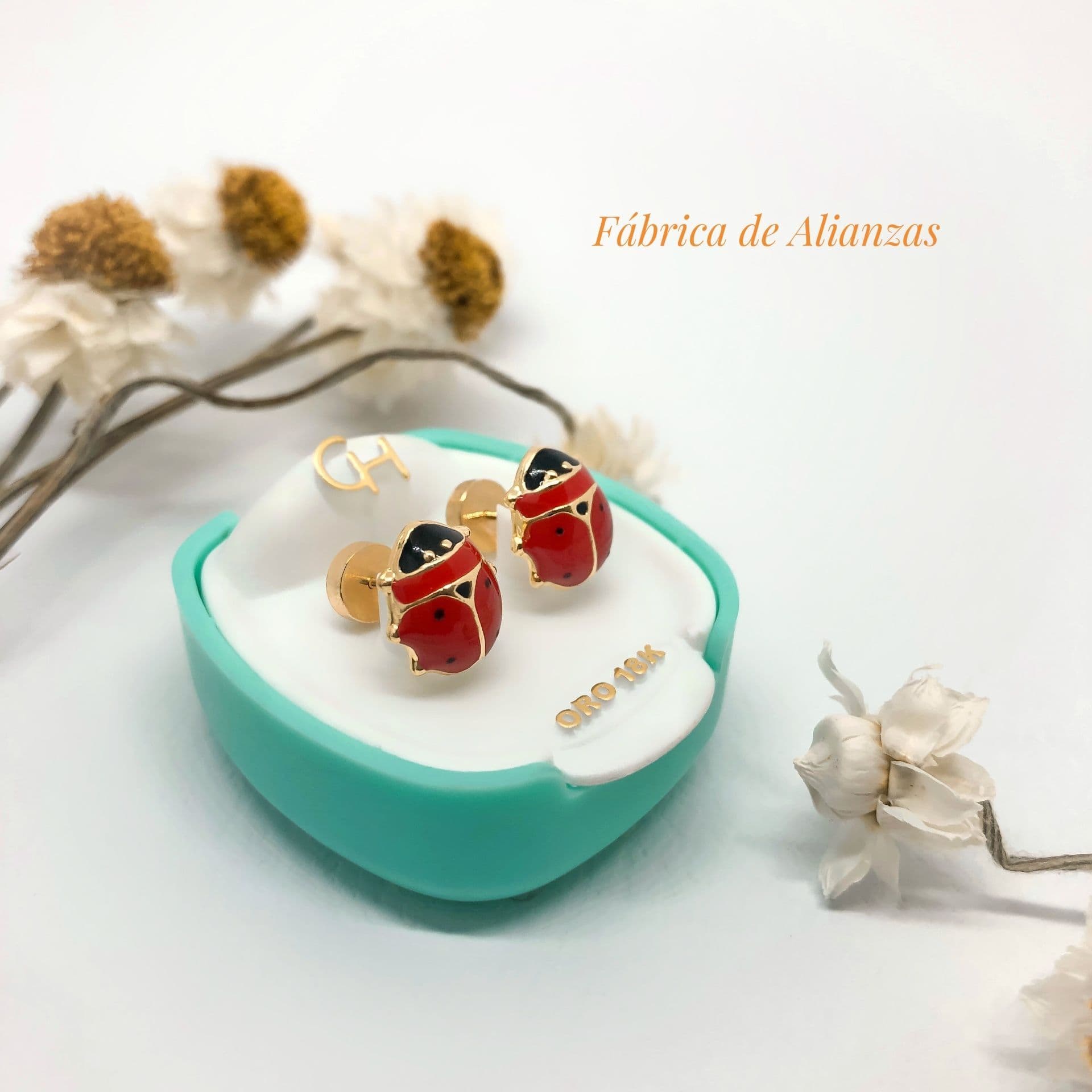 Aro Abridor Vaquita de San Antonio Grande