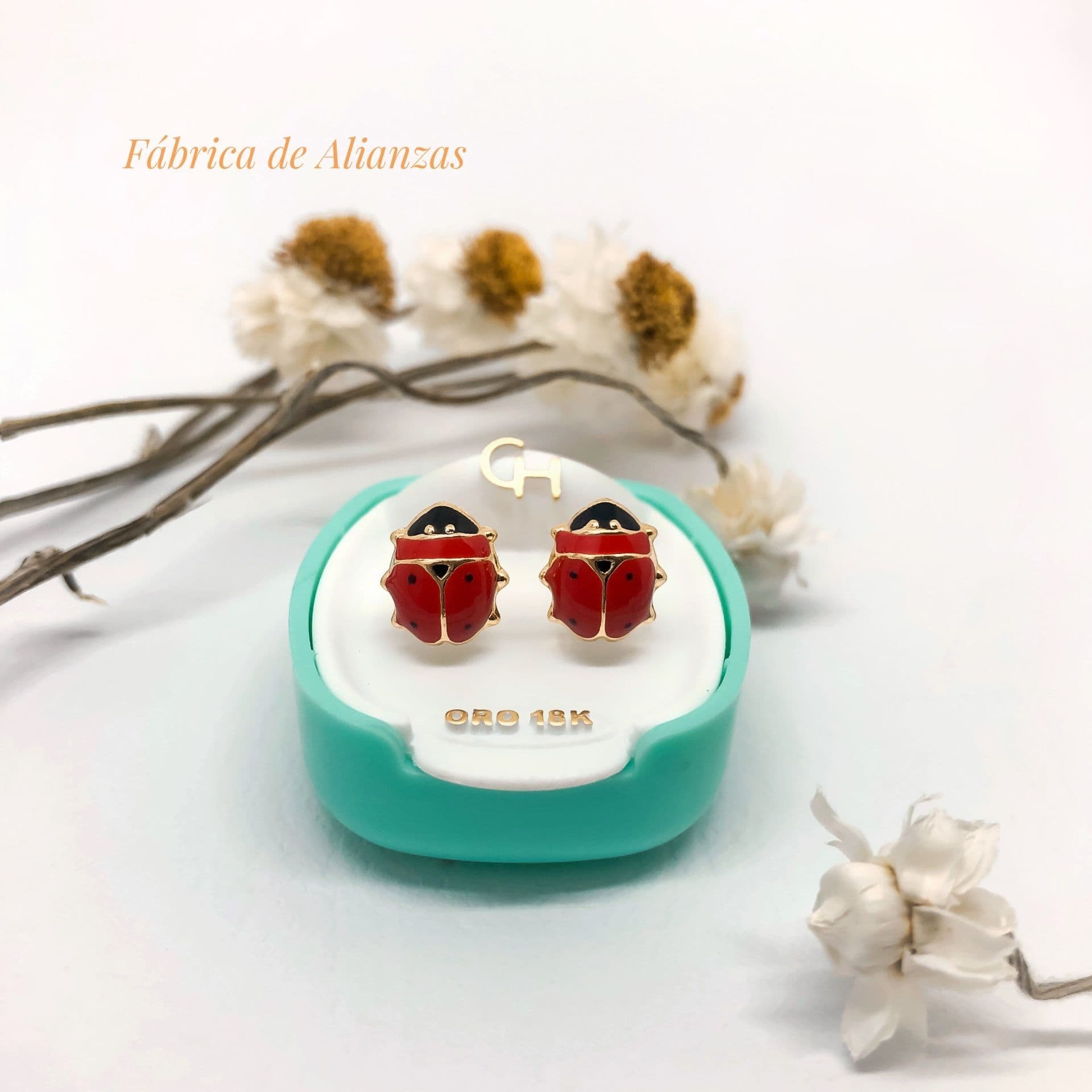 Aro Abridor Vaquita de San Antonio Grande