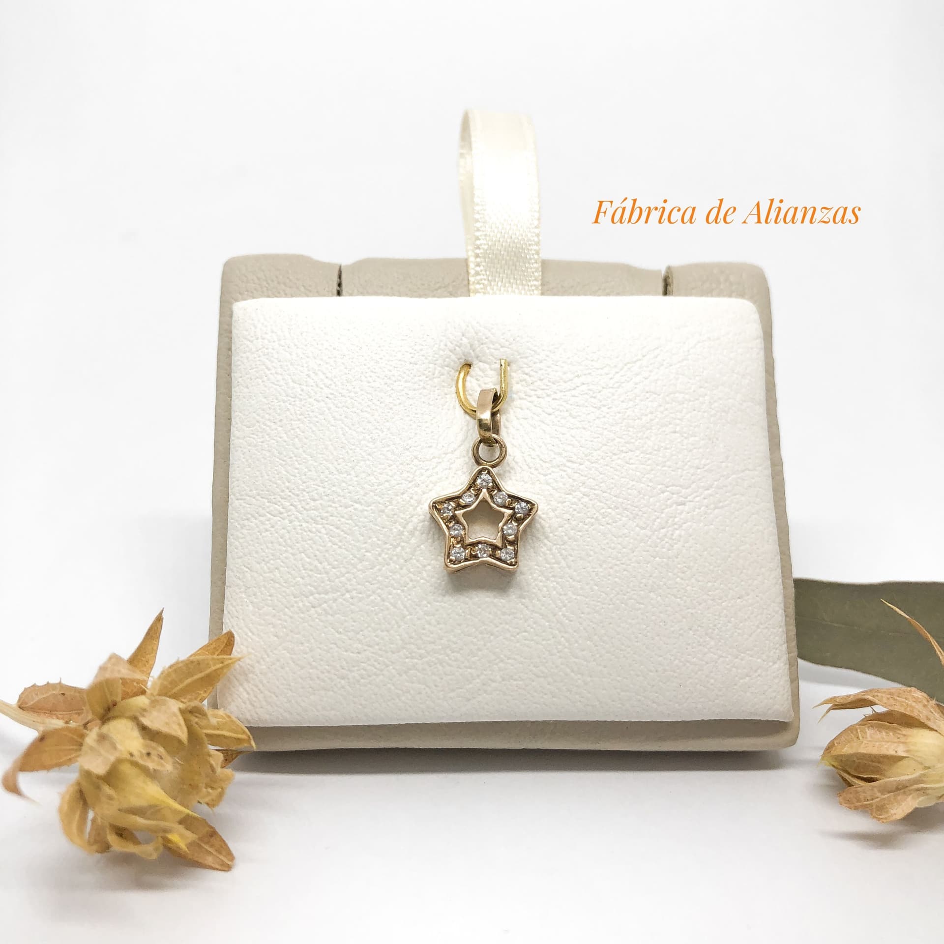 Dije Estrella con Piedras Blacas