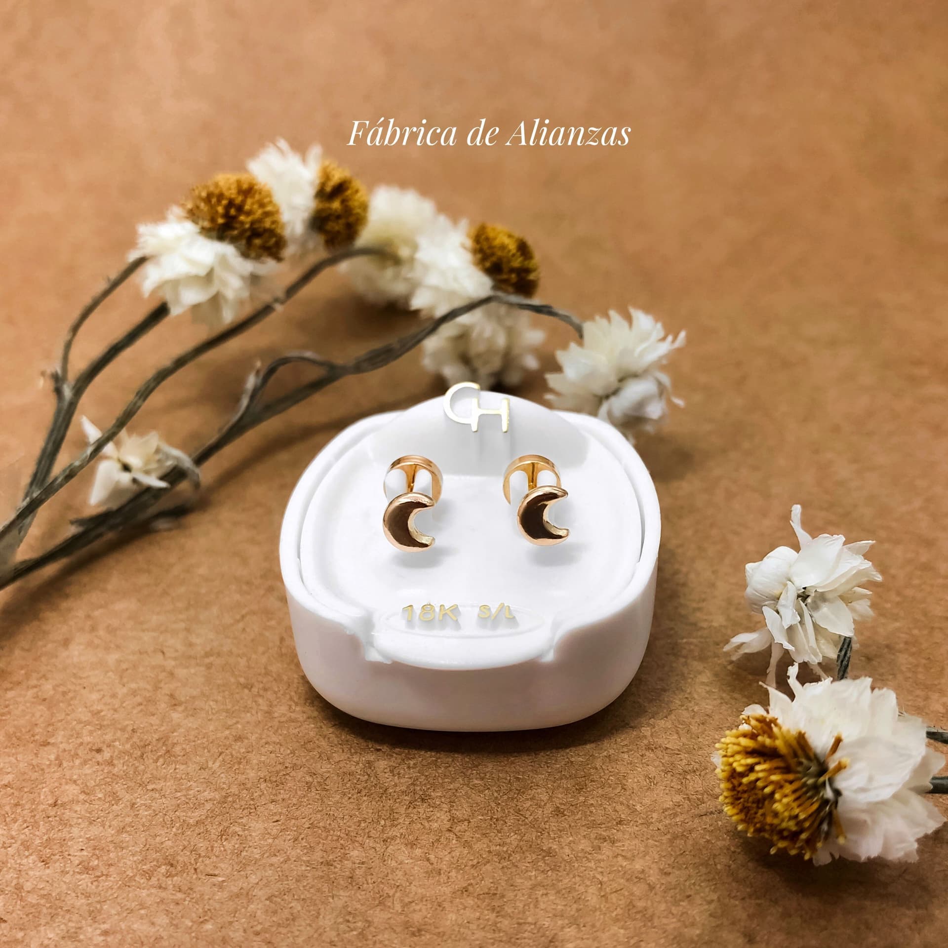 Aro Abridor Luna con Cuerpo