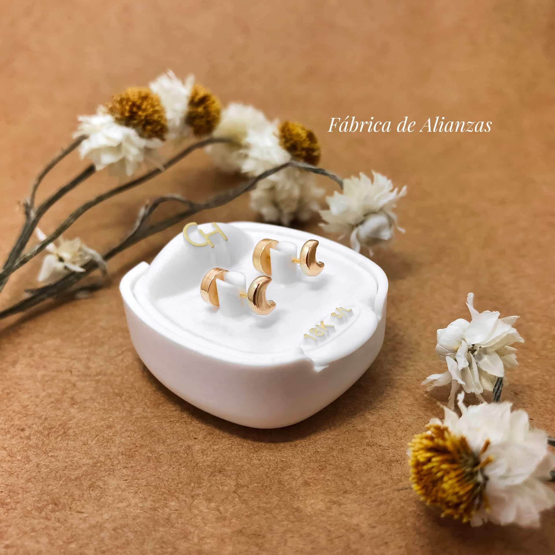 Aro Abridor Luna con Cuerpo