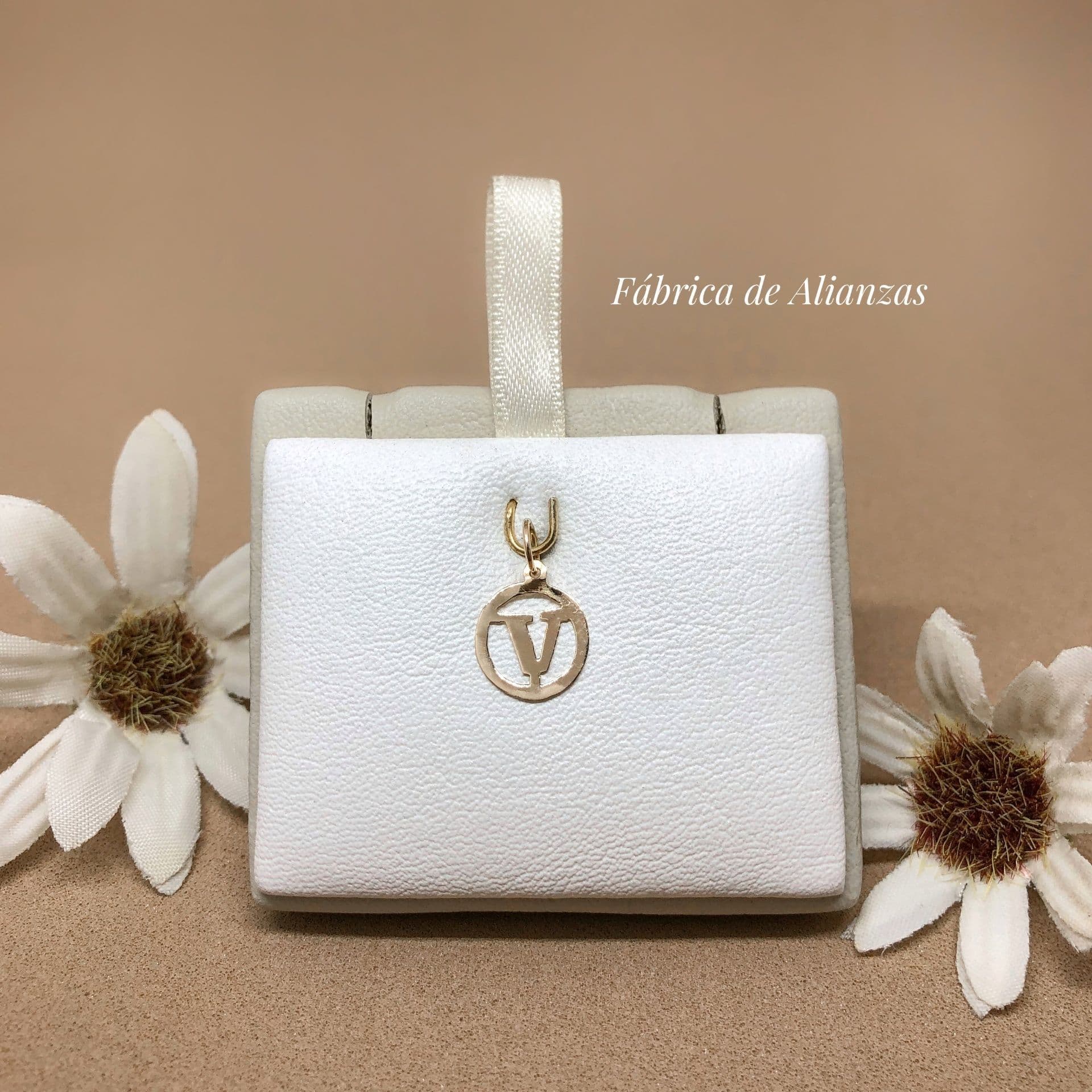 Dije Inicial Circulito '"V"