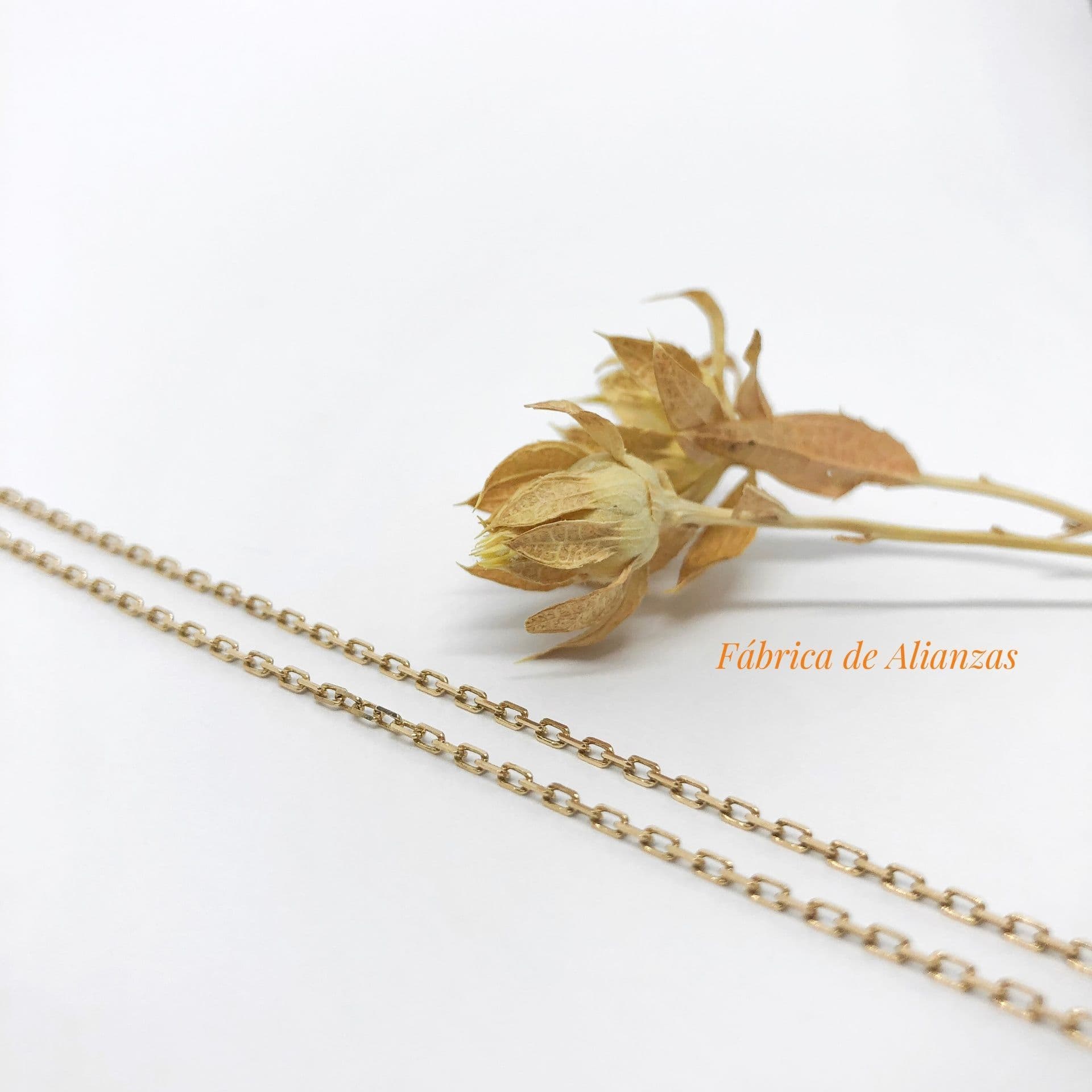 Cadena Forcet Corto
