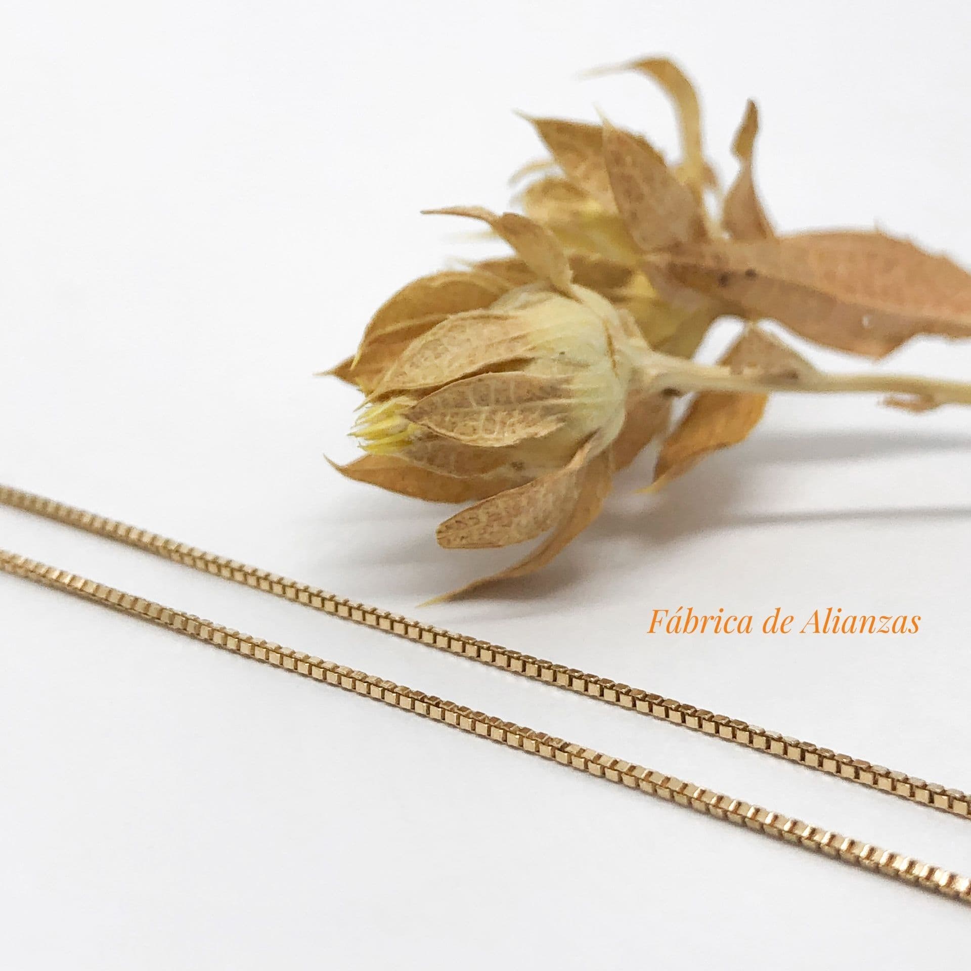 Cadena Veneziana